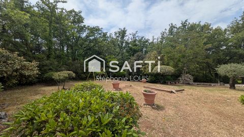 photo no. 12