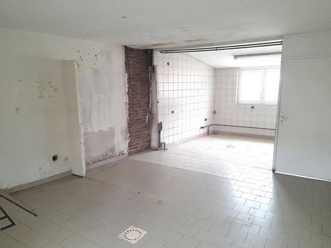 photo no. 6