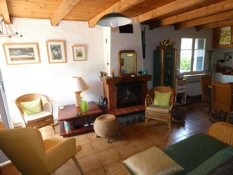 photo no. 6