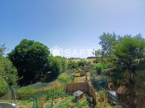 photo no. 12