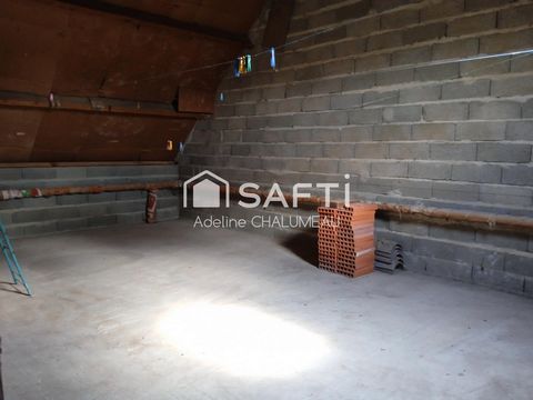 photo no. 8