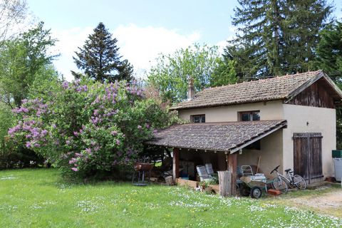 photo no. 2