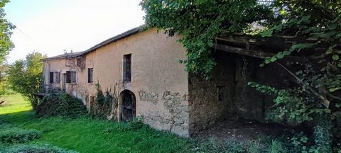 photo no. 2
