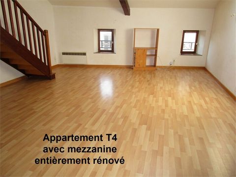 Dpt Vosges (88), à vendre DARNEY immeuble av 1 local + 1 T2 + 1 T3 + 1 T4 + 1 studio + cave
