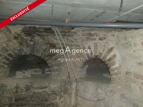 photo no. 5