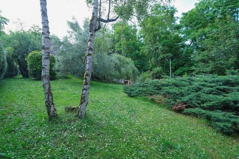 photo no. 13