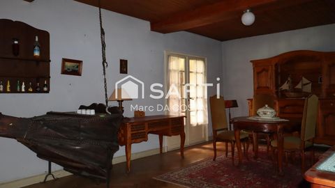 photo no. 2