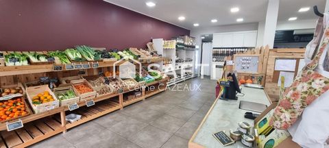 photo no. 13