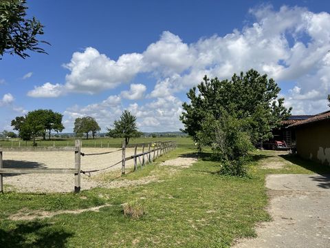 photo no. 15