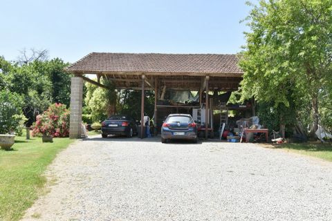 photo no. 17