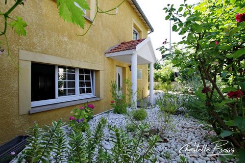 photo no. 18
