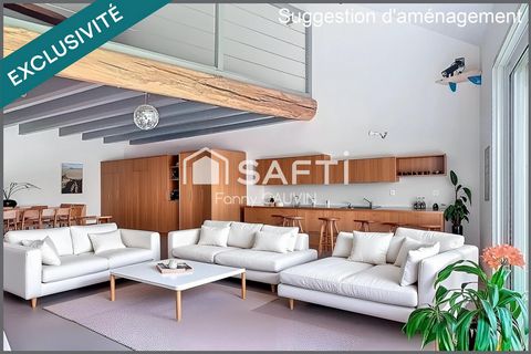 photo no. 11