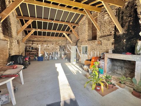 photo no. 11