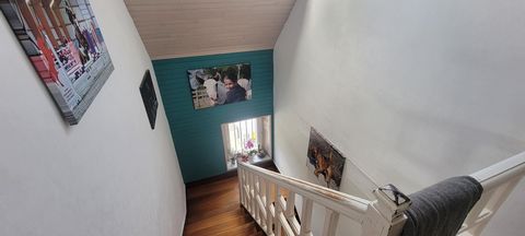 photo no. 7