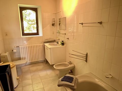 photo no. 13