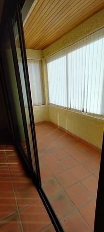 photo no. 16