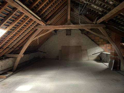photo no. 8