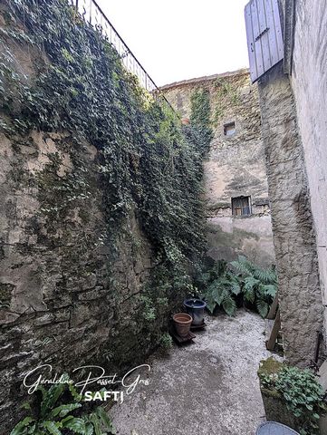 photo no. 11