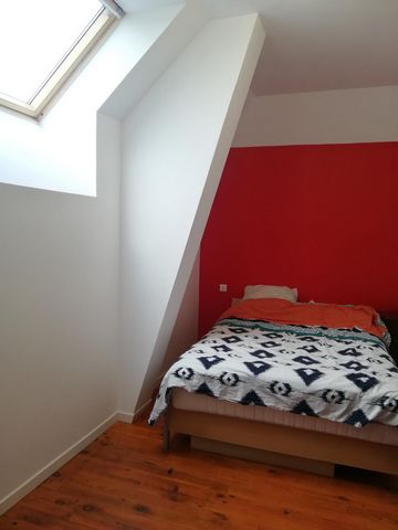 photo no. 14