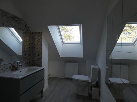 photo no. 9