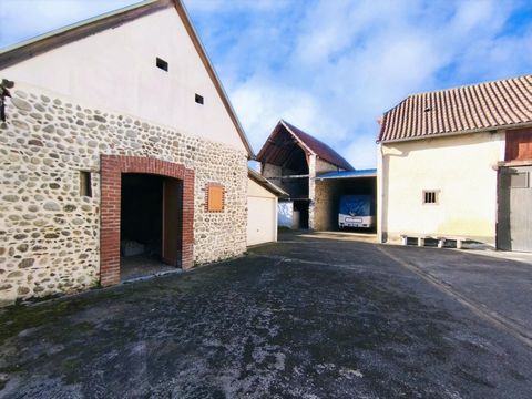 photo no. 4