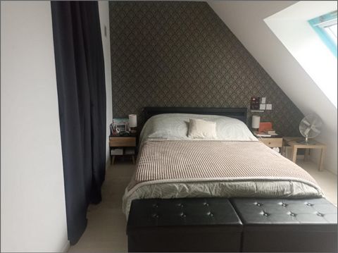 photo no. 12