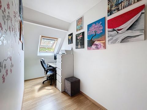 photo no. 12