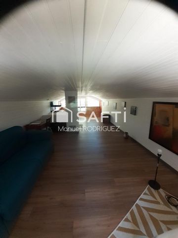 photo no. 12