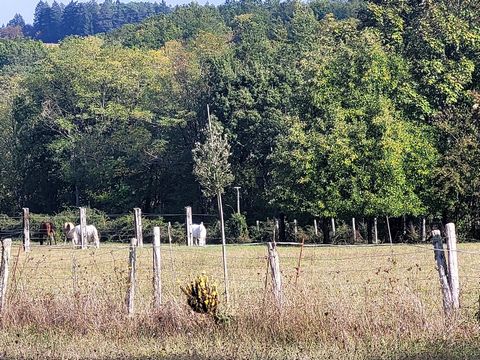 photo no. 9
