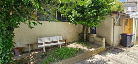 photo no. 7