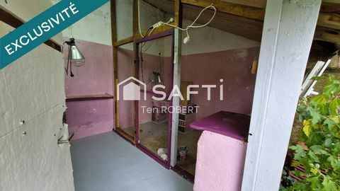 photo no. 13