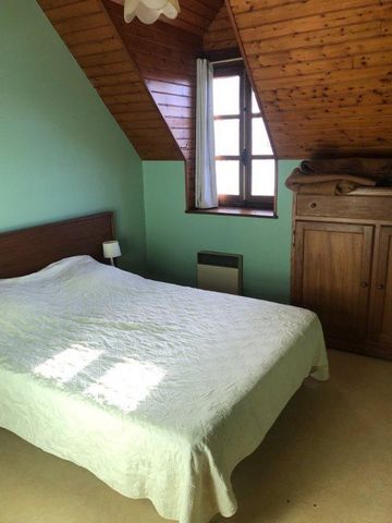 photo no. 6