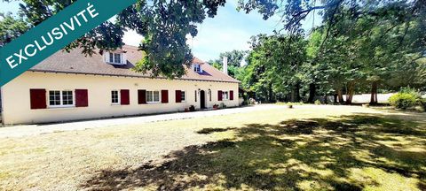 photo no. 11