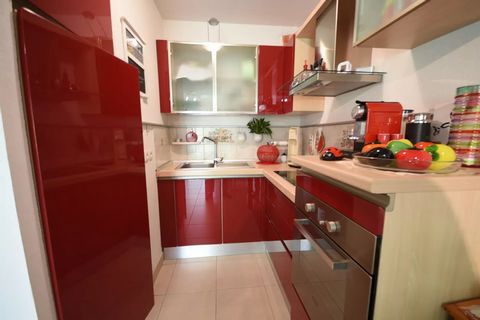 photo no. 13