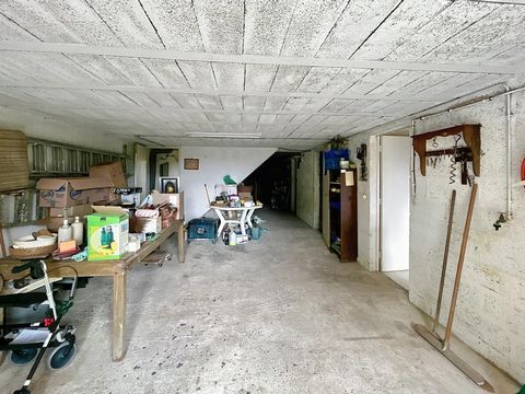 photo no. 10