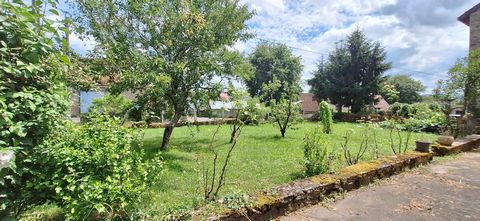 photo no. 10