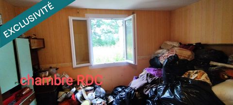 photo no. 14