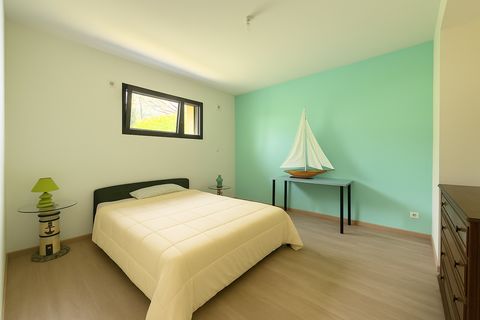 photo no. 12