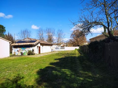 photo no. 17