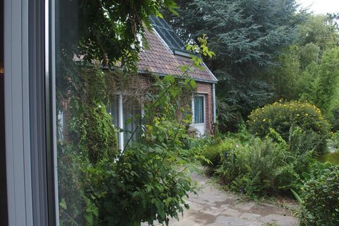 photo no. 6