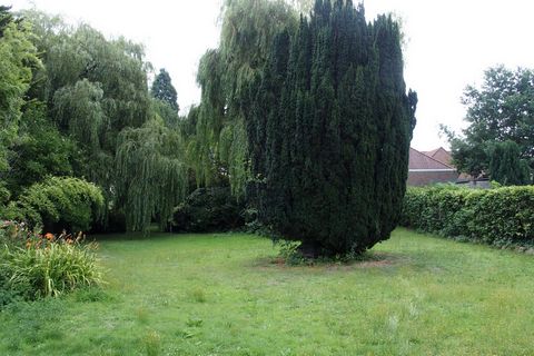 photo no. 9