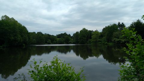 photo no. 27