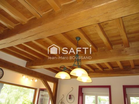 photo no. 11