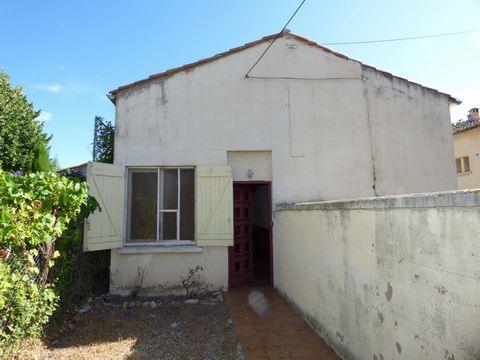 photo no. 8