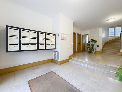 photo no. 8