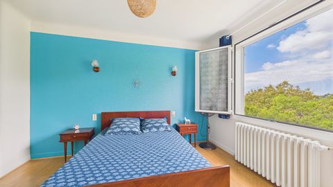 photo no. 11