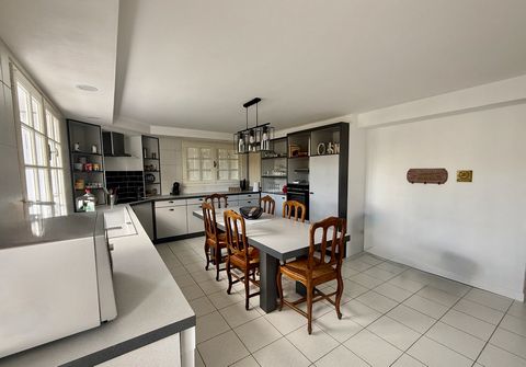photo no. 11