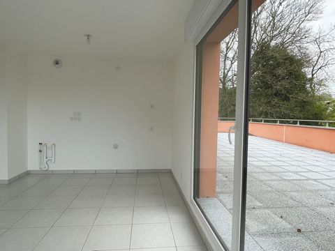 photo no. 10