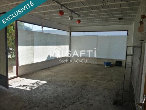 photo no. 15