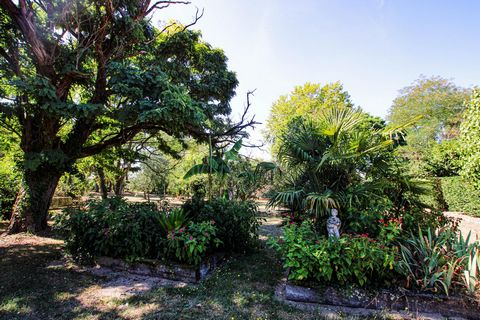 photo no. 19